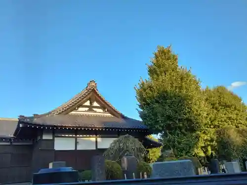 真観寺の本殿・本堂