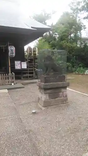 御霊神社の狛犬