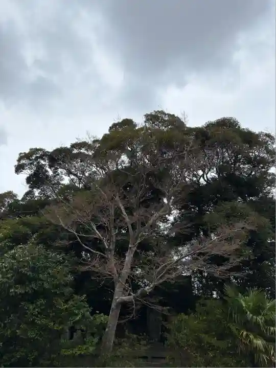 長福寿寺(千葉県)