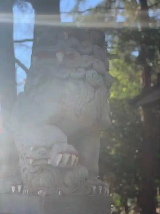 谷保天満宮の狛犬