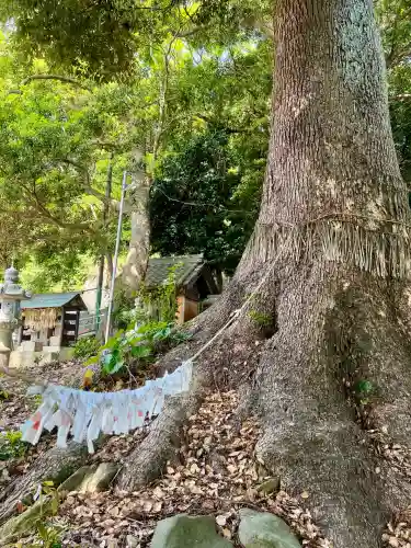 浅間神社(静岡県)