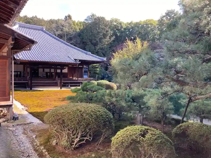 隨心院(随心院)(京都府)