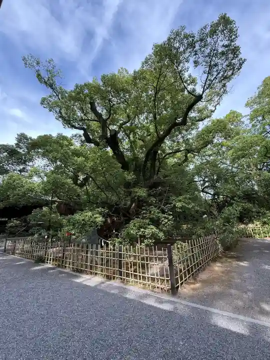 浜松八幡宮(静岡県)