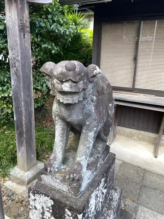 新羽杉山神社の狛犬