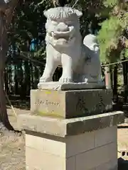 網走神社の狛犬