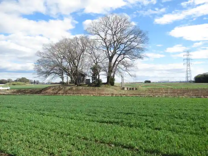 神明神社(千葉県)