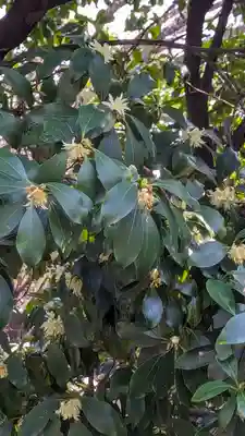 養源院(京都府)