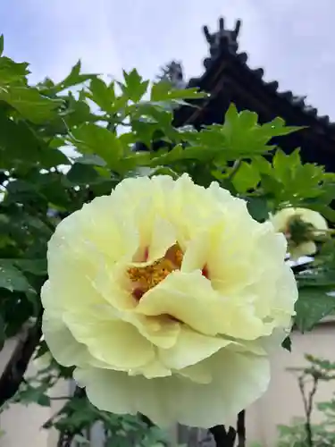 真言宗　善通寺派　薬王寺(香川県)