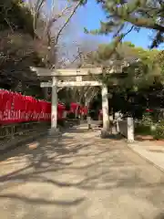 平塚八幡宮の鳥居