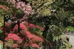 国宝 大法寺の庭園