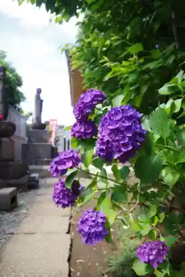 福王山  慈眼寺(東京都)