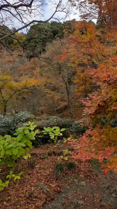 三千院門跡(京都府)