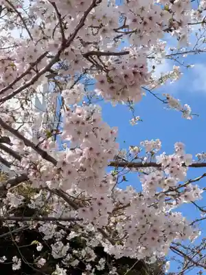 渋谷氷川神社(東京都)