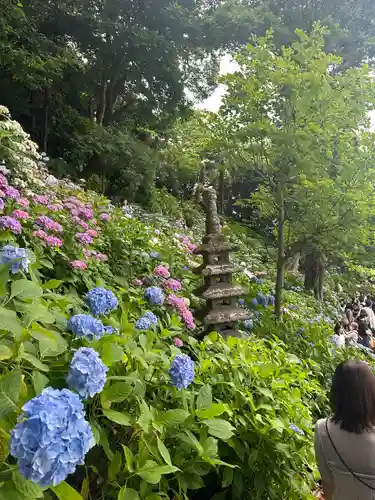 長谷寺(神奈川県)