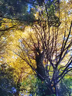 正松神社(東京都)