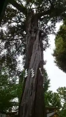 居木神社(東京都)