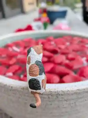 駒込妙義神社(東京都)