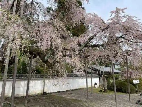 三宝院（三宝院門跡）(京都府)