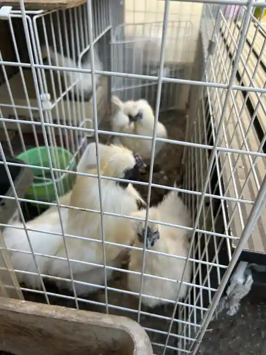 榮久山大法寺(東京都)