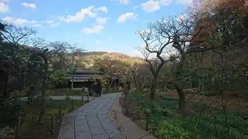 東慶寺(神奈川県)