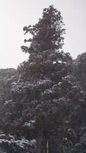 松尾大社(京都府)