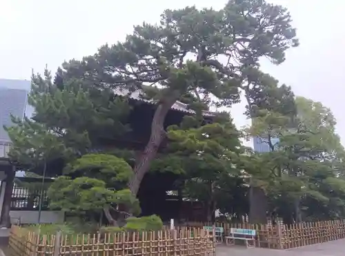 泉岳寺(東京都)