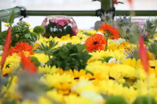 住吉神社の手水舎