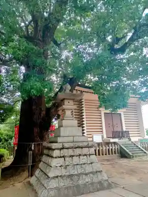 諏訪神社(東京都)