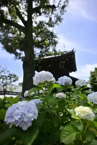 白山神社(東京都)
