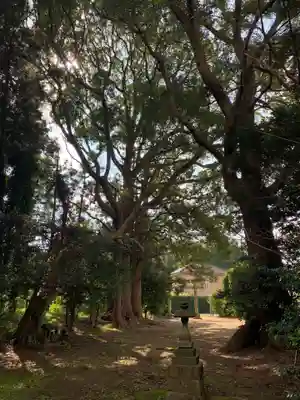 稲荷大神(千葉県)