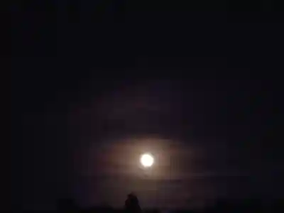 稲荷神社(茨城県)