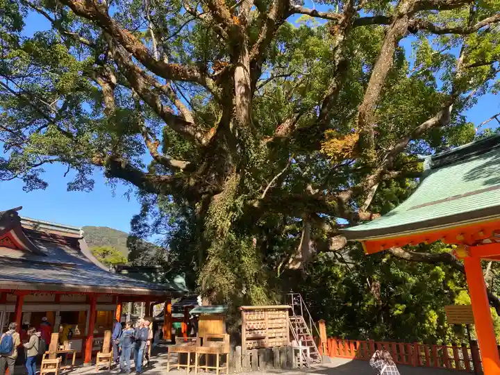 熊野那智大社(和歌山県)