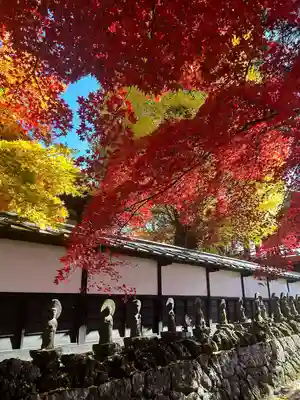 長圓寺(長野県)