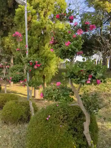 結神社の庭園