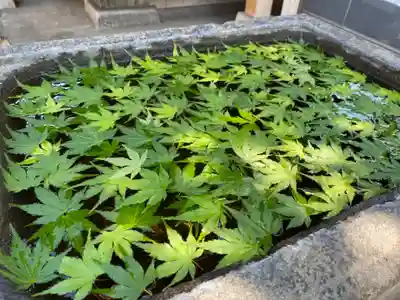 観音寺の手水舎