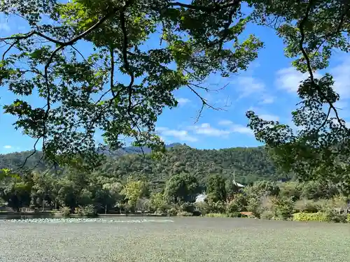 大覚寺(京都府)