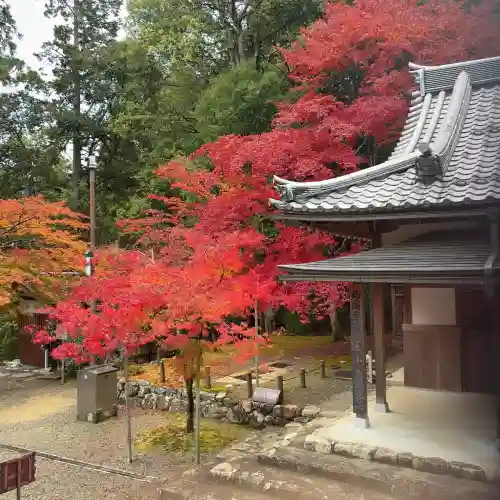 西明寺(滋賀県)
