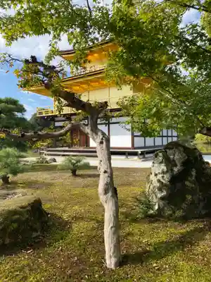 鹿苑寺（金閣寺）の本殿・本堂