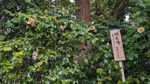 城南宮(京都府)