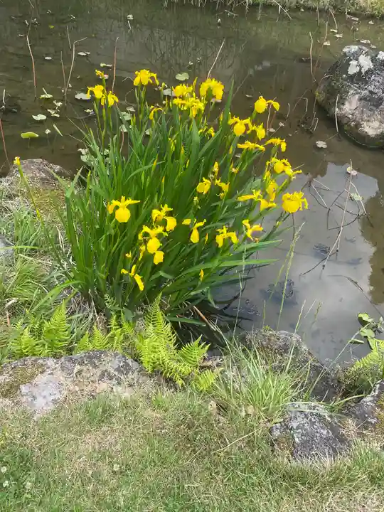 智積院(京都府)
