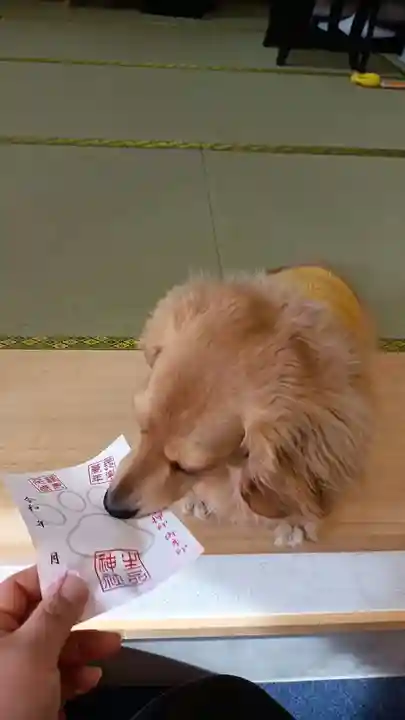 生品神社の御朱印