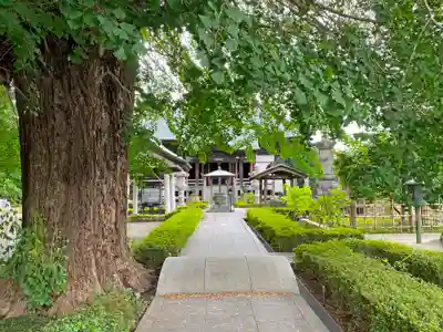 星谷寺のその他建物
