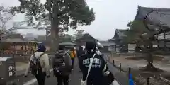 鹿苑寺（金閣寺）(京都府)