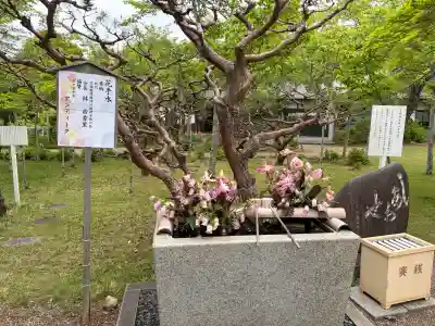 桜宮の{uncategorized: "未分類", other: "その他", undefined: "問題あり", building: "その他建物", grave: "お墓", sacred_gate: "鳥居", guardian: "狛犬", statue: "像", buddha: "仏像", history: "歴史", nature: "自然", garden: "庭園", animal: "動物", pagoda: "塔", temizu: "手水舎", mountain_gate: "山門・神門", sanctuary: "本殿・本堂", subordinate: "末社・摂社", art: "芸術", scenery: "景色", jizo: "地蔵", ema: "絵馬", goshuin: "御朱印", omikuji: "おみくじ", items: "授与品その他", amulet: "お守り", goshuincho: "御朱印帳", eats: "食事", festival: "お祭り", votive_dance: "神楽", shichigosan: "七五三参", wedding: "結婚式", experience: "体験その他", initially: "初詣", around: "周辺", anti_infection: "感染症対策"}