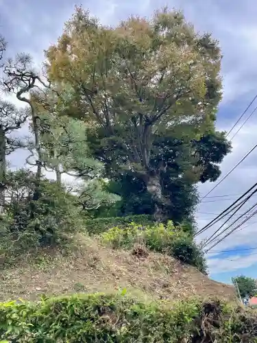 長壽寺（長寿寺）(神奈川県)