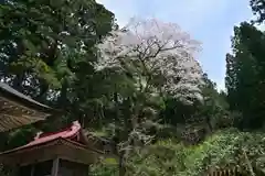 風巻神社(新潟県)