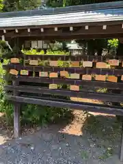 常葉神社(岐阜県)