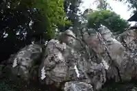 鹿島大神宮の自然