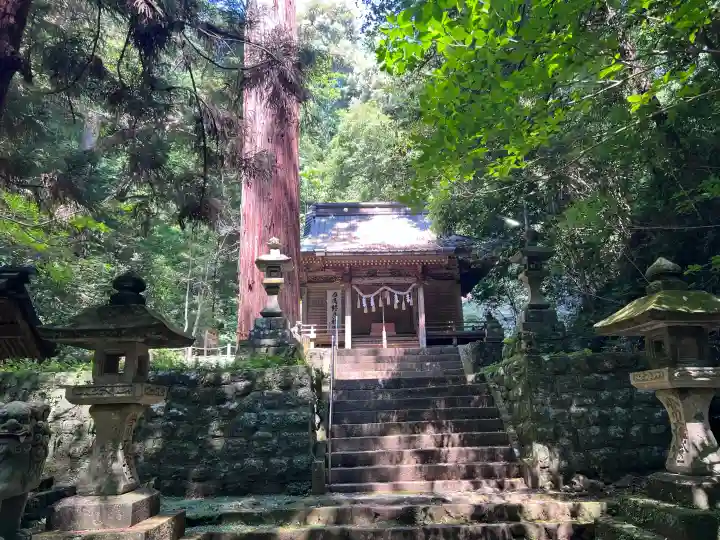 八幡宮來宮神社の{uncategorized: "未分類", other: "その他", undefined: "問題あり", building: "その他建物", grave: "お墓", sacred_gate: "鳥居", guardian: "狛犬", statue: "像", buddha: "仏像", history: "歴史", nature: "自然", garden: "庭園", animal: "動物", pagoda: "塔", temizu: "手水舎", mountain_gate: "山門・神門", sanctuary: "本殿・本堂", subordinate: "末社・摂社", art: "芸術", scenery: "景色", jizo: "地蔵", ema: "絵馬", goshuin: "御朱印", omikuji: "おみくじ", items: "授与品その他", amulet: "お守り", goshuincho: "御朱印帳", eats: "食事", festival: "お祭り", votive_dance: "神楽", shichigosan: "七五三参", wedding: "結婚式", experience: "体験その他", initially: "初詣", around: "周辺", anti_infection: "感染症対策"}
