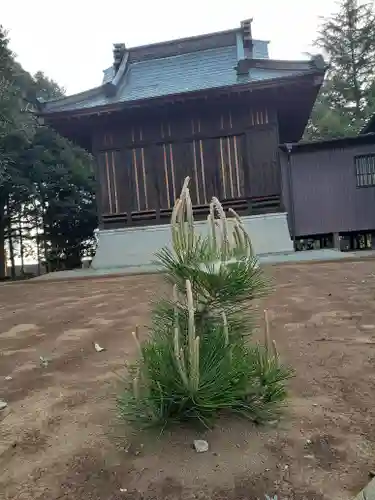 伏木香取神社の自然